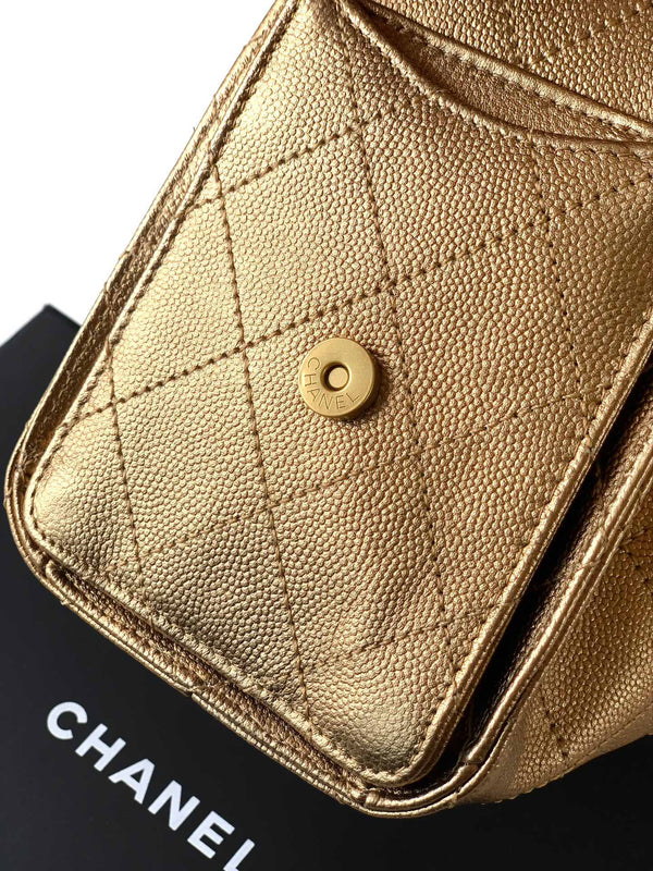 CC 25C Hobo Bags 20cm Bronze Metalic Grained Calfskin