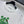 CD Fitted T-Shirt White Cotton Jersey with Green Dior Clover Motif