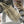 MEDIUM LADY D-LITE BEIGE CANNAGE EMBROIDERY