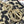 MEDIUM D-LITE 24 BEIGE MULTICOLOR