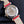 IMPERIALE 36MM AUTOMATIC STEEL CASE WHITE DIAL