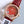 HAPPY SPORT 36MM AUTOMATIC ROSE GOLD DIAMOND BEZELRED DIAL