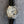 BALLON BLEU LADIES AUTOMATIC LEATHER STRAP