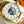 SEAMASTER AQUA TERRA 150M WORLDTIMER TWO TONE