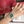 CARTIE PASHA 35MM QUARTZ STEEL CASE DIAMOND BEZEL BLUE DIAL