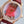HAPPY SPORT 36MM ROSE GOLD DIAMOND BEZEL RED DIAL