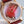 HAPPY SPORT 36MM ROSE GOLD DIAMOND BEZEL RED DIAL