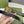 GG BELT DOUBLE G GOLD BUCKLE 20MM BLACK LEATHER