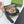 G BELT GOLD BUCKLE BLACK 40MM BEIGE CANVAS