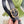 GC BELT GOLD BUCKLE IN GG SINK LEATHER 4.0CM