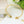 BOHEME MALACHITE DIAMOND GOLD OPEN BRACELET