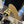 espadrilles yellow black lambskin