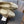ballet flat gold metalic lambskin patent calfskin