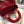 MINI LADY 17 MY ABC RED CALFSKIN