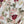 Zimmermann 25 Dress 363