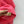 HM Letter Sweater in Red Cashmere