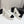 Chanel 25 Platform Thick Heel Shoe White Black Sheepskin