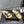 CC 25SS Flower Buckle Platform Beach Slides in Beige Cowhide