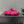 CC 25SS Flower Buckle Platform Beach Slides in Fuchsia Pink High-Mercerized Sardine