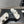 CC 25SS Flower Buckle Platform Beach Slides in White High-Mercerized Sardine
