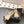 CC 25s Coco Beach Mary Jane Flats Beige and Black Mesh Cowhide 329017