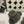 CC 25s Logo Slippers Gray Shearling 455073