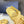 CC 25 Dad Sandals Yellow Rope and Sheepskin 473369