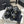 CC 25B Thick-Sole Casual Sandals with Velcro Black Fabric 489314