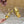 BV 25SS Flat-Soled High-Heeled Ankle Strap Sandals Gold Shiny Calfskin