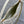 CD Shoulder Bag 19cm white lambskin GHW