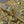 CD Pearl Chain Bag Laser Gold 21cm Lambskin