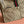 GG Giglio Detachable Clutch 35cm Beige Canvas Light Gold Hardware