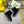 Fendi Laster Hot-Selling Snow Boots Black Suede 575436