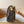 LV Travel With Grace Coddington Ivy On Chain Brown Monogram Canvas 275002