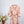 Zimmerman 26 Dress 371