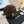 Chanel Wool Cap Brown in Fibrous 980126