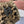 Chanel Korean Style Leopard Print Light Brown Plush Hat 979910