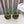 Loewe 25SS Fur-lined Mule 100 Green in Fox Fur 597443