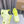 Loewe 2025 x On Cloud Solo Running Sneakers Green Nylon Calfskin 597428