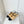 Chanel 26 Slingback Flats Beige Black in Lambskin 597389