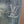 LV 25 Blue Jeans 492451