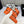 CC Women's Belt 3.0CM Orange Cowhide 586499