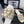 Chanel Early Spring Chain Slippers White in Lambskin 611715