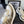 CC Sneaker Gold Metallic Silver in Cowhide 611663