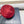 Prada 25 Women's Beret Red in Cloth 123103