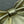 Dior 26 Bow Chain Bag in Gold Lambskin