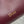Dior 26 Bow Chain Bag in Burgundy Lambskin