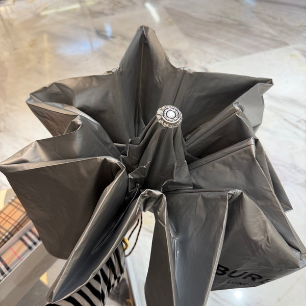 Burberry Umbrella 2