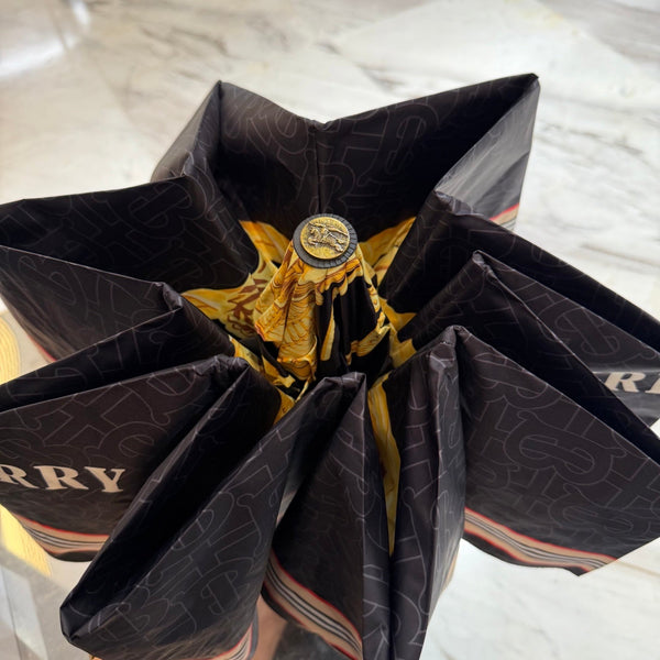 Burberry Umbrella 4