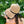 Chanel Hepburn Style Hat Beige in Raffia 205599